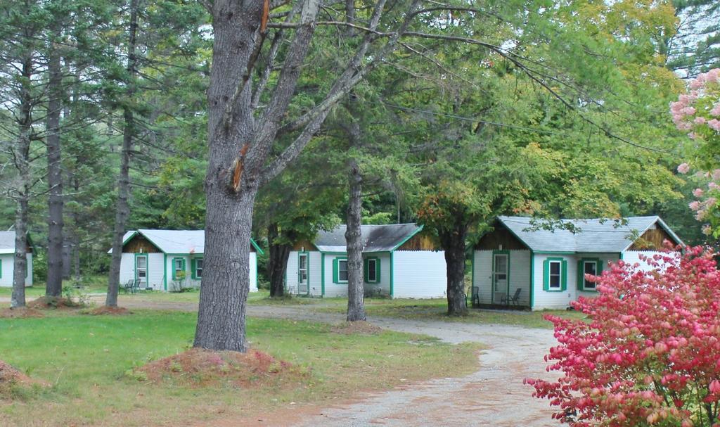 Pine Valley Cabins Thornton Room photo