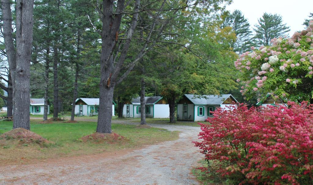 Pine Valley Cabins Thornton Exterior photo