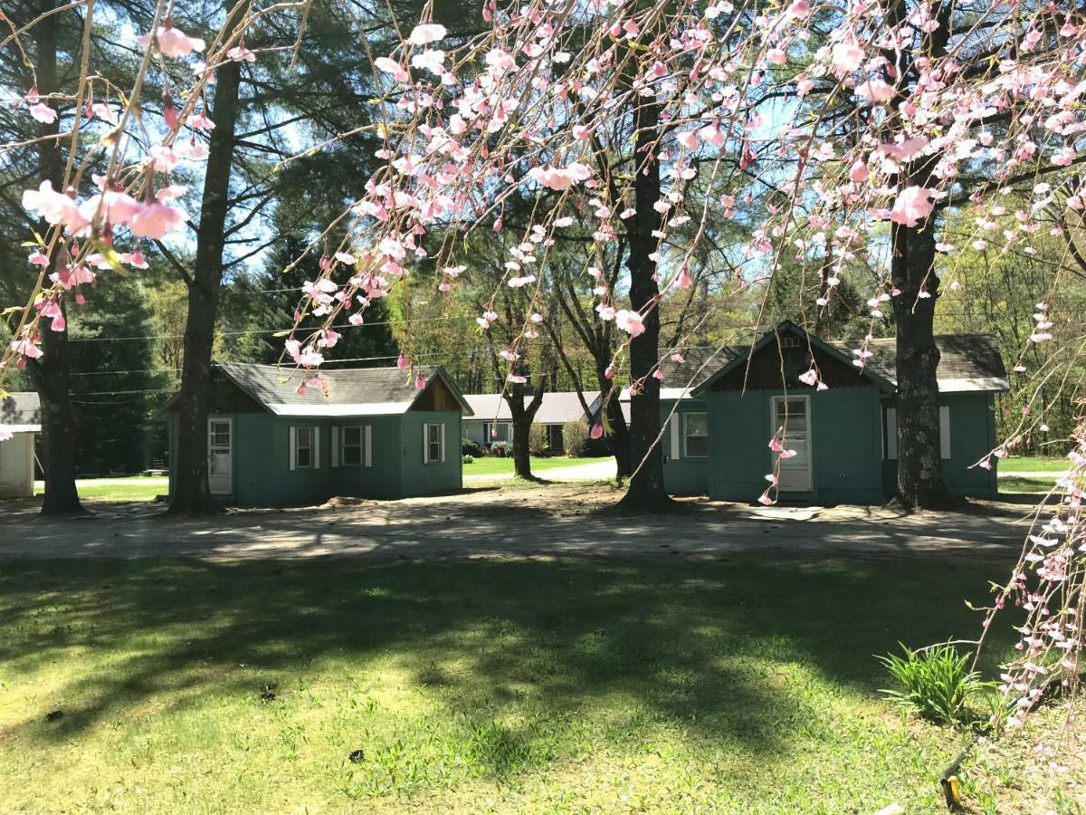 Pine Valley Cabins Thornton Exterior photo